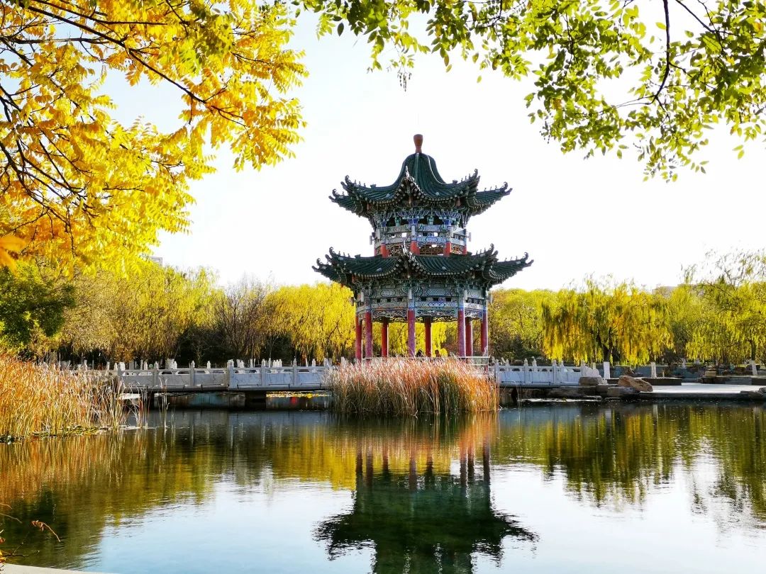 再不打卡就晚了金昌的晚秋藏在这些地方