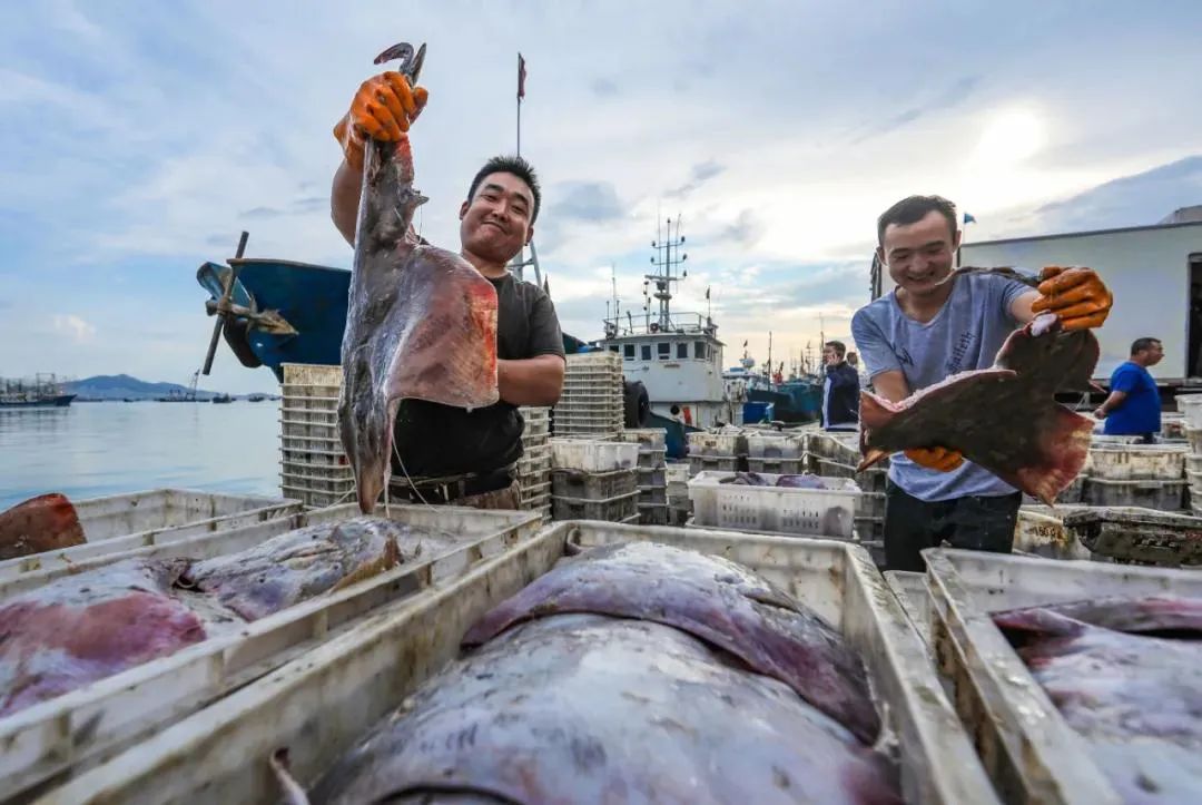 我为群众办实事凌晨出击走村进港线上帮忙不打烊威海法院在行动