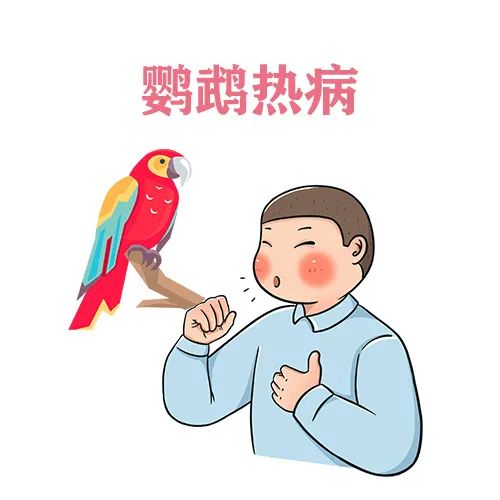 鹦鹉热是什么病还能好好遛鸟儿吗