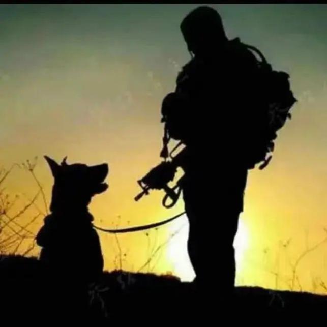 5天扫4雷犬界搜爆专家玄战