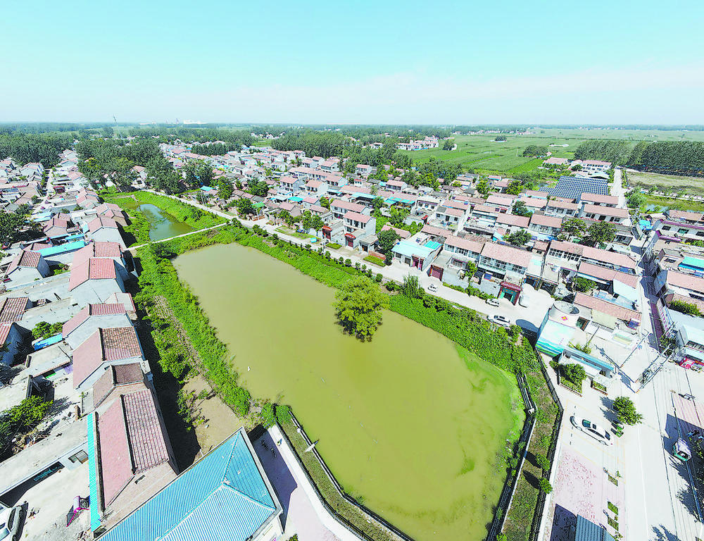 走百村看振兴巨野县万丰镇阚店村下好产业棋拓宽致富路