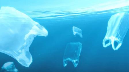 说自己可海洋降解的塑料袋，都是骗子？