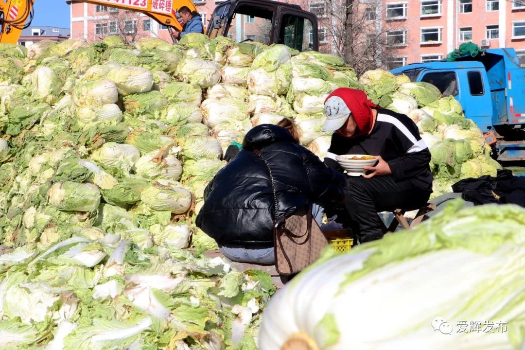 在晨起幕落中奔波忙碌的黑河白菜夫妇