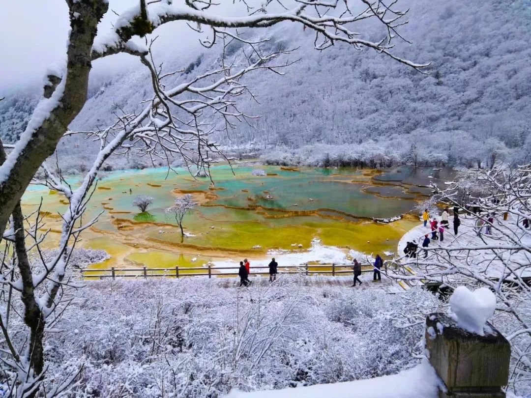 错过秋日的层林浸染可别错过童话般的冬季周末去黄龙邂逅初冬雪景