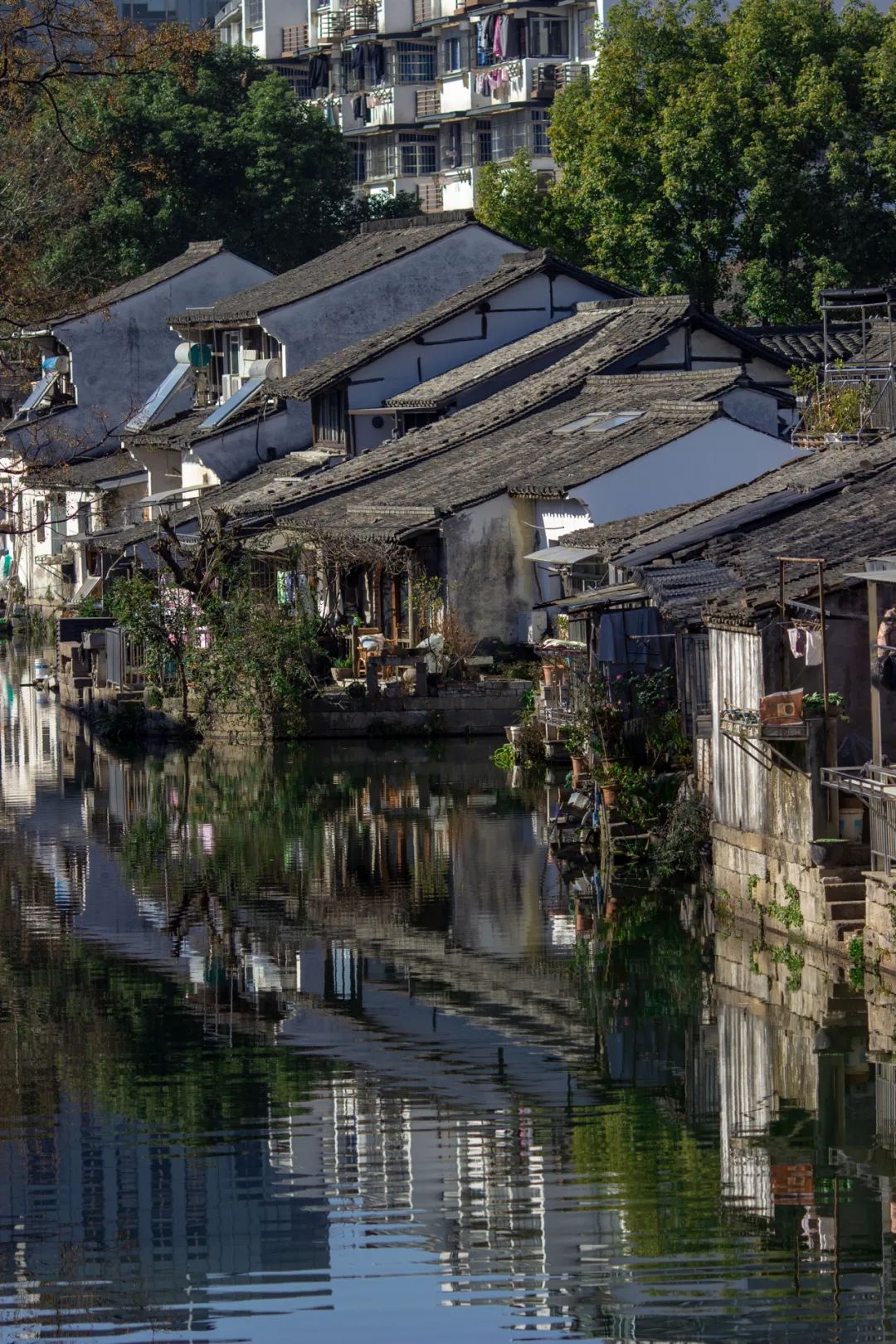 八角亭谜雾取景地曝光江浙版喀纳斯惊呆网友