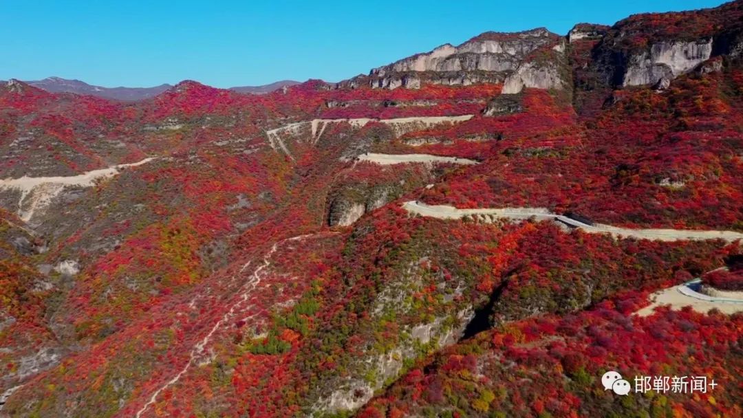 武安红叶岭风景区图片