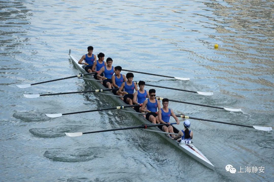 苏河静安段展现景观体育之美超600名赛艇选手激烈角逐多图现场直击