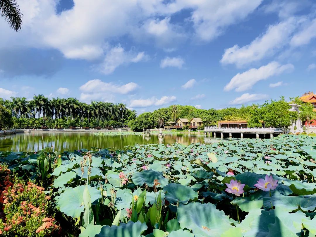 澄迈乡村旅游图片