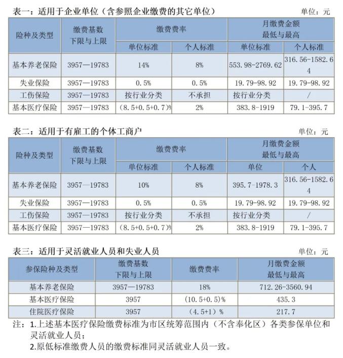 社保缴费率图片