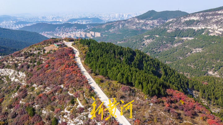 濟南大千佛山風景綠道互聯互通紅葉與翠柏牽手