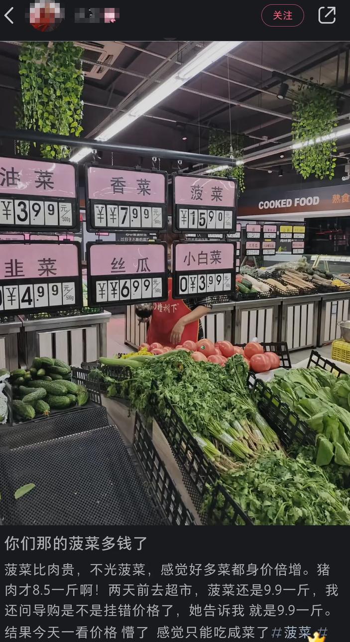 多地蔬菜价格飙升 比肉贵 专家 季节性 雨水等因素导致涨价 媒体 澎湃新闻 The Paper