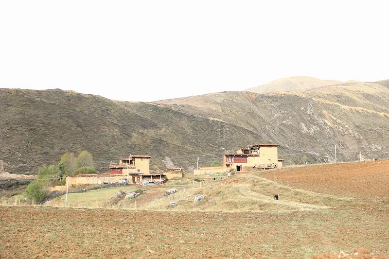 在白玉县赠科乡扎马村乡村夜校点亮了这个深秋今年是乡村振兴开局之年