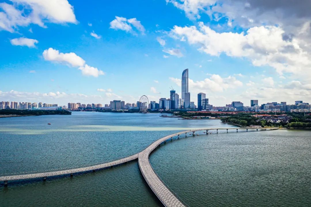 金鸡报晓独墅一帜园区城市湖泊双面绣