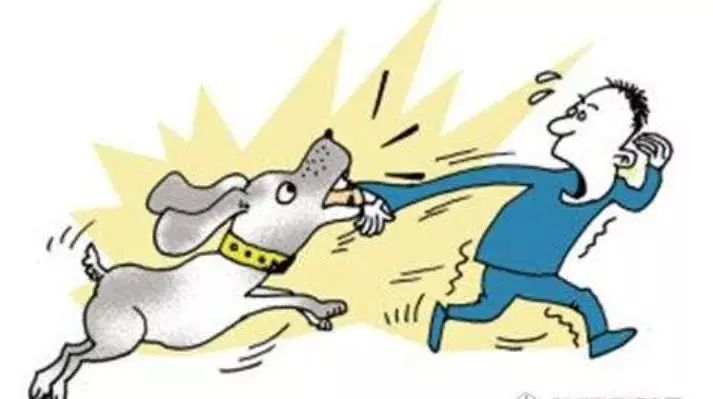 以案释法动物咬伤幼童引纠纷究竟谁担责