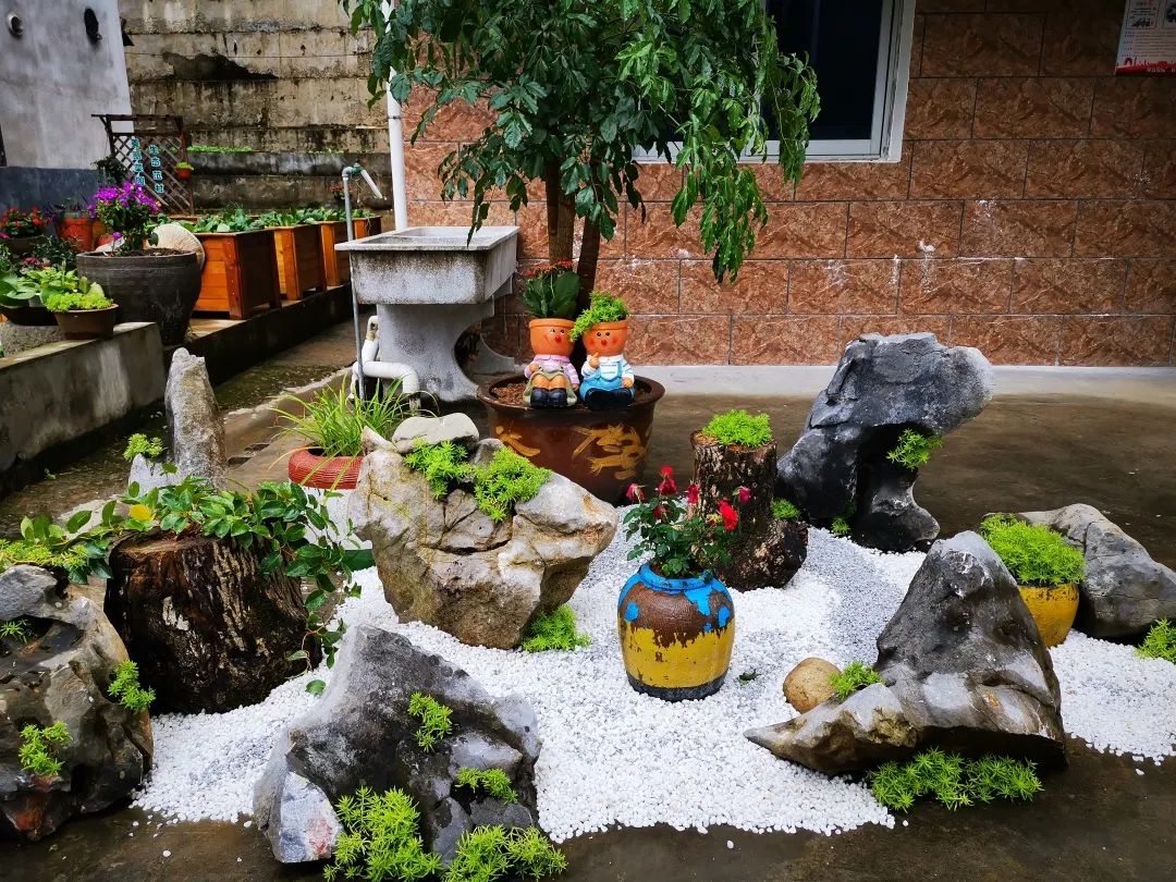 临岐镇范村村打造美丽庭院扮靓乡村幸福生活