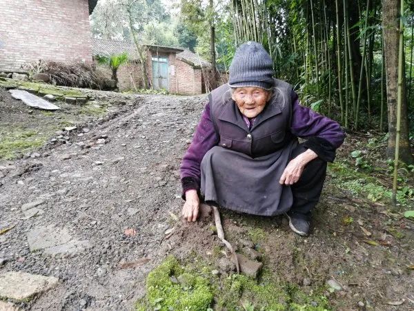 天全县百岁老人李朝兰爱生活爱劳动心态好
