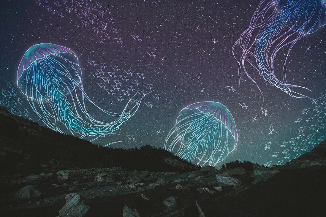 梦境解析，昨晚梦见自己的牙齿松了——探寻内心深处的隐秘信号