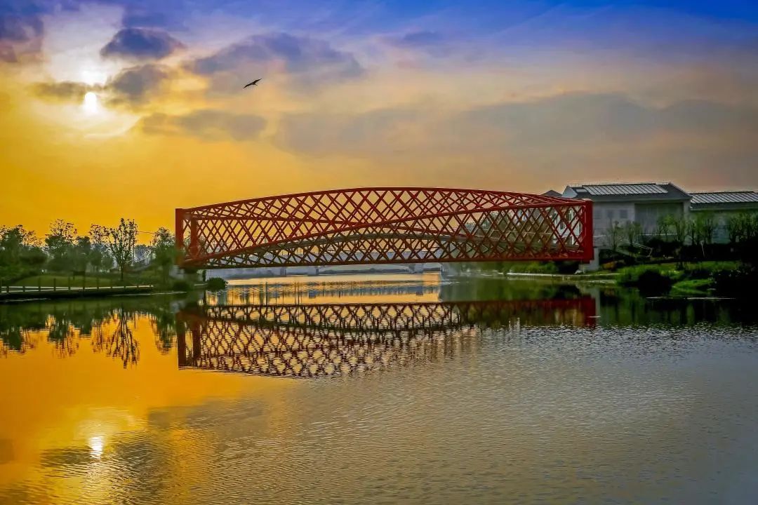 松江新城越夜越美丽