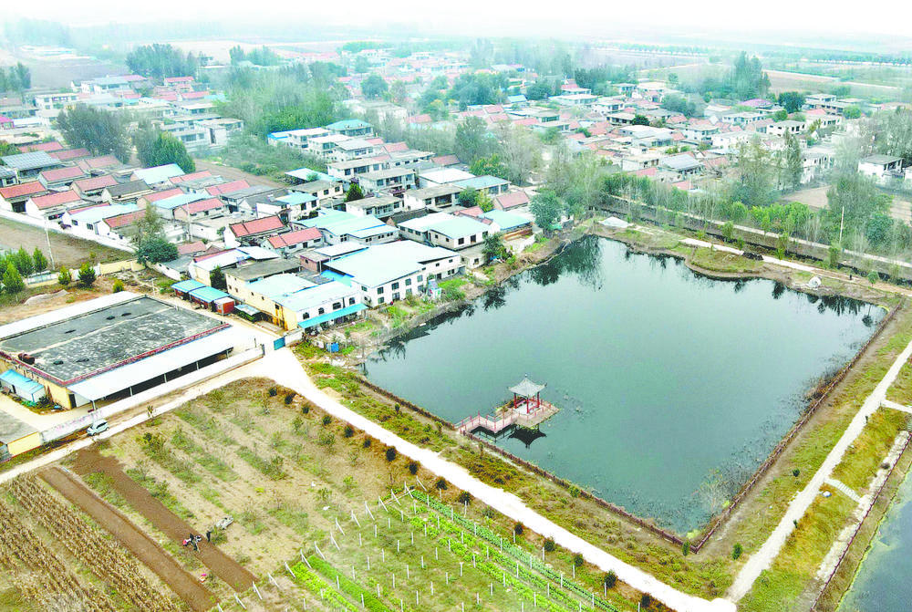 走百村·看振兴|牡丹区皇镇街道办事处夹河赵村:产业发展多元化,振兴