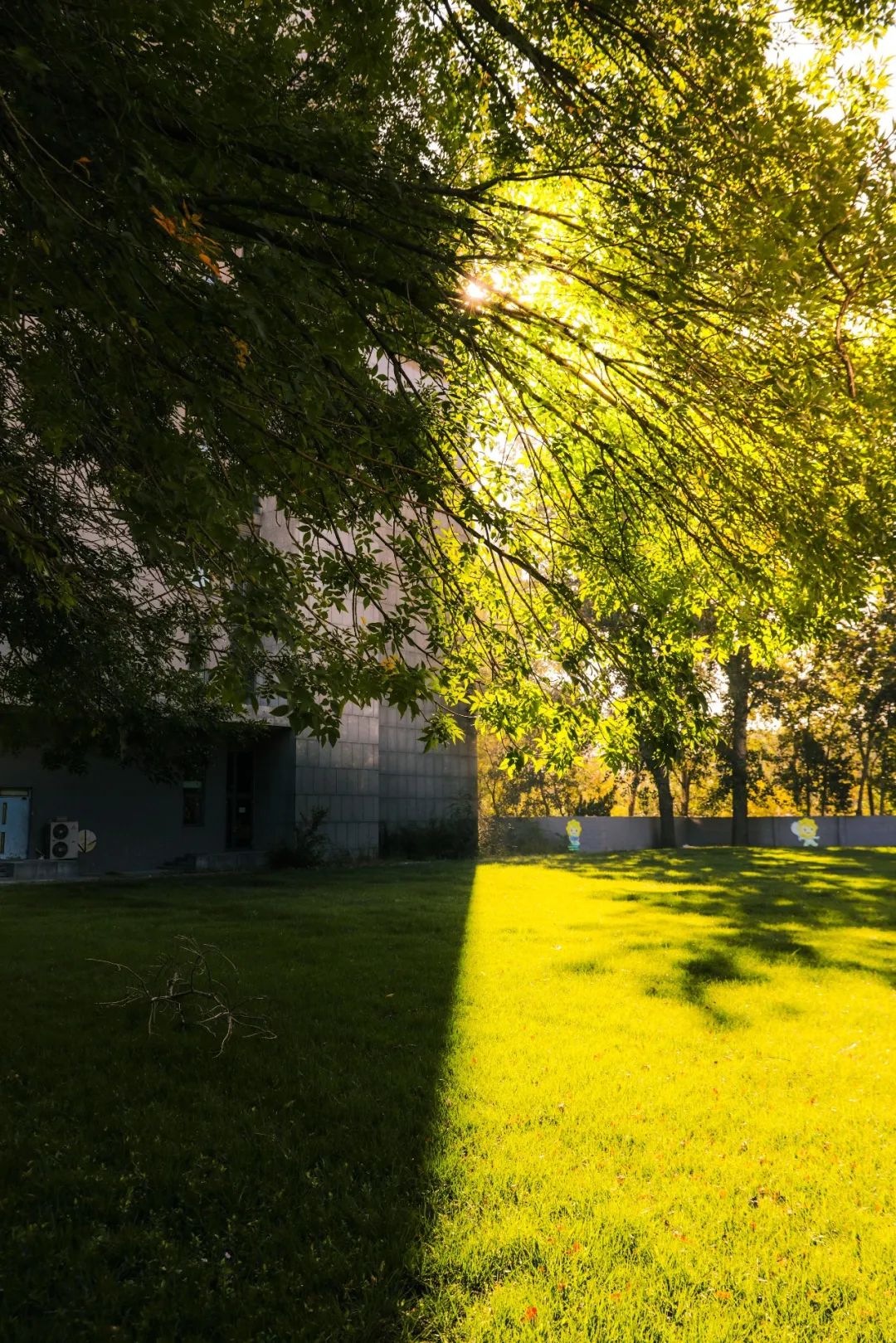 超级美南开初秋美图走一波