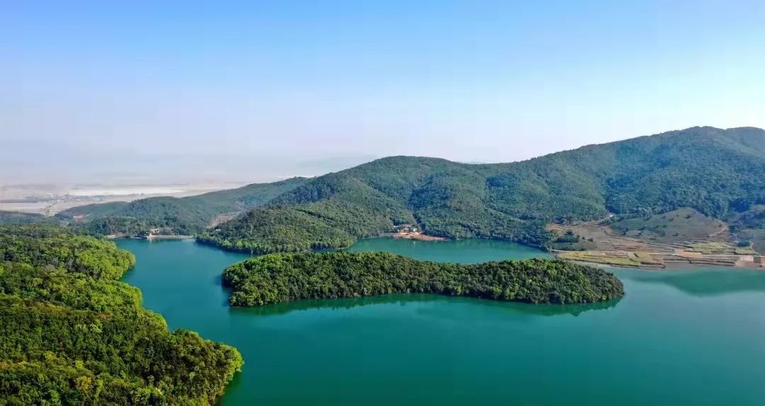 生态典范勐邦天鹅湖