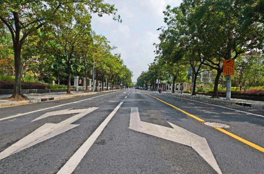 轧马路去在普陀这里出门就是好风景