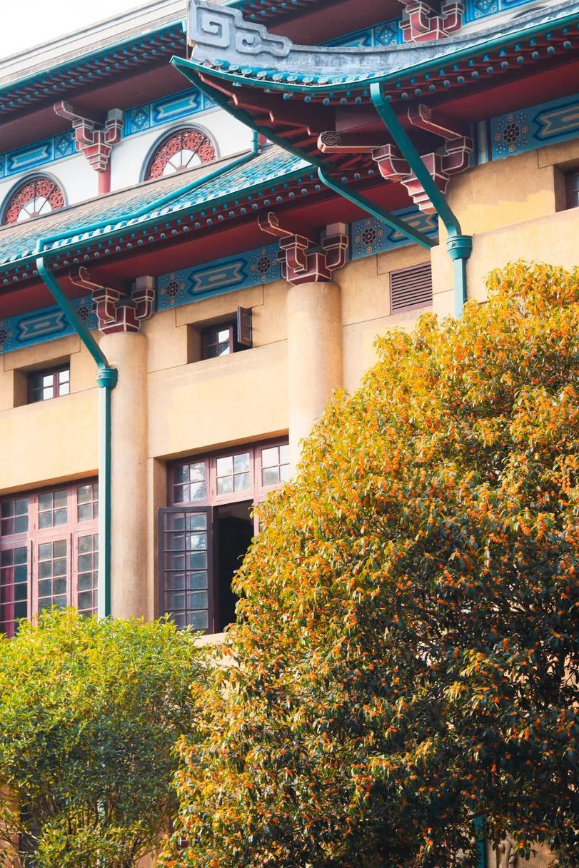 湖大的秋天,就是这个味儿!