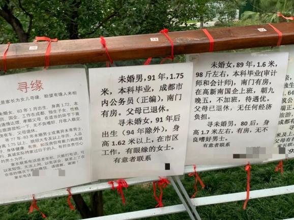 人民公園相親角休假了大源公園相親角上崗了