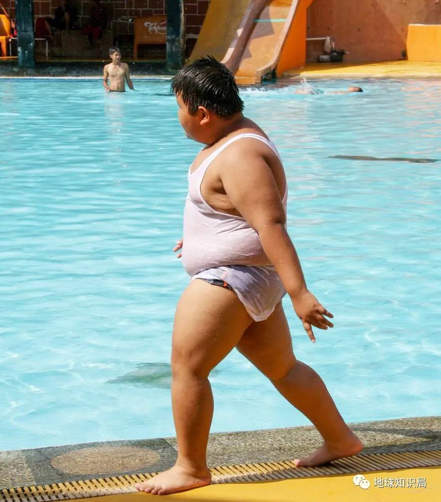 美国人为什么这么胖