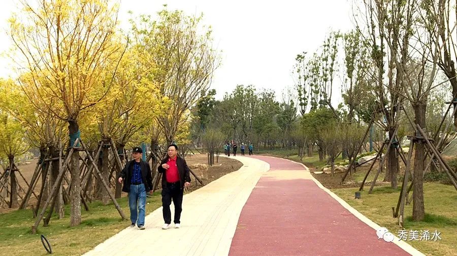 浠水六桥暨一河两岸主要新建道路今日正式通车