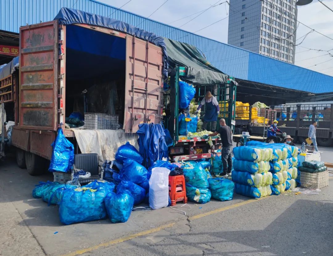 菜比肉貴江橋批發市場多渠道拓寬貨源穩菜價