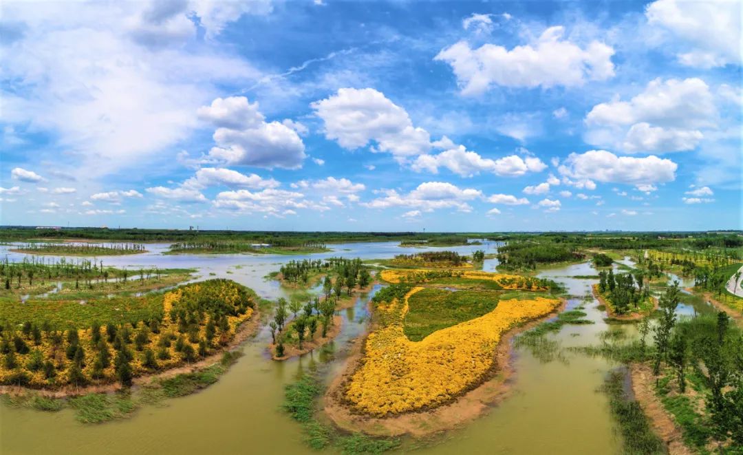 欧乐堡水上世界先后落成,齐河博物博馆群,黄河水乡湿地公园,中国驿