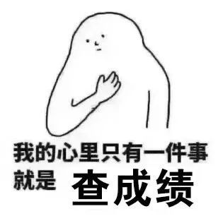 我太难了又到了查成绩的时间