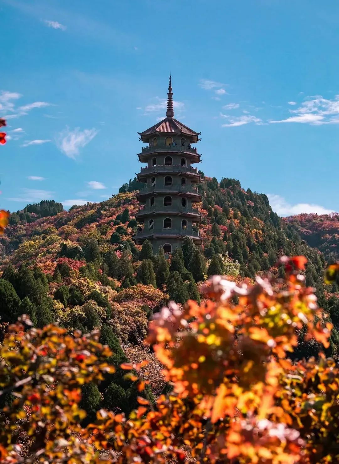 济泰高速景点图片