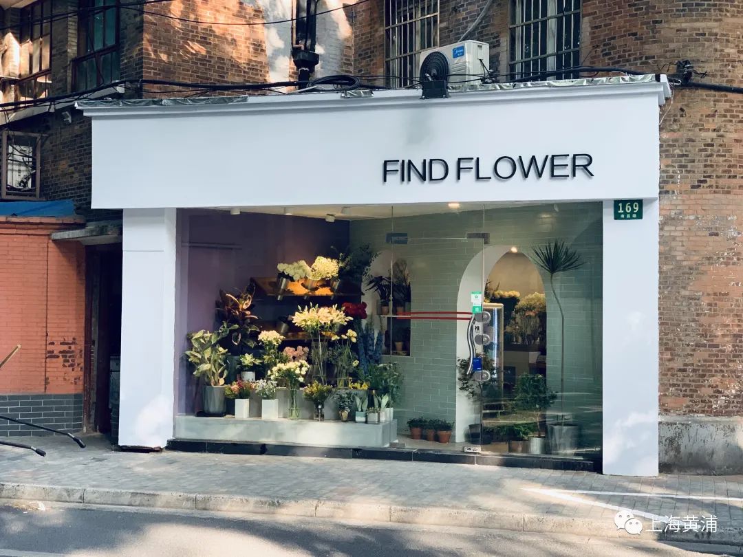 漫步衡复|花店版"深夜食堂",扮靓,温暖着南昌路