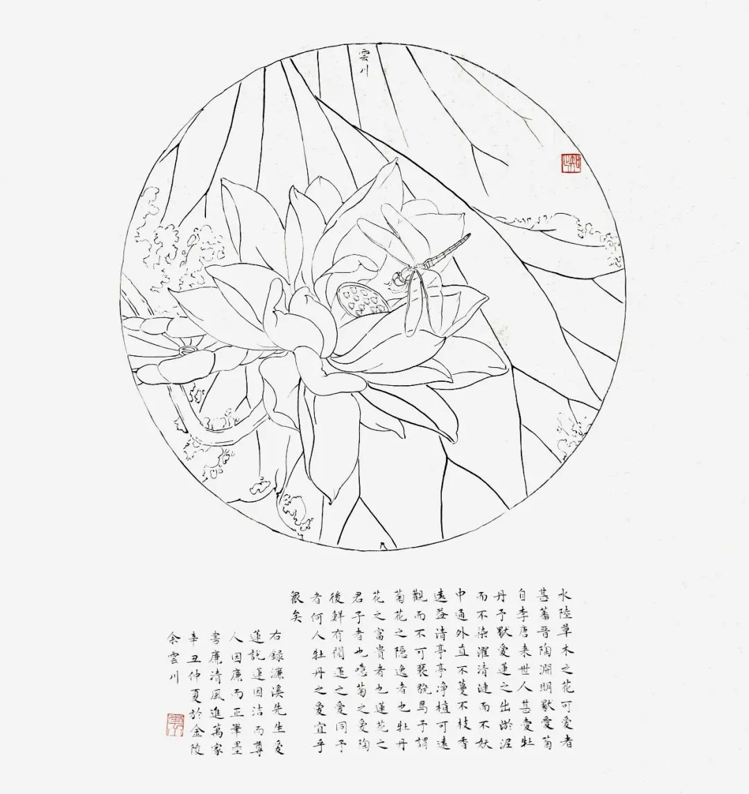 张雨婷的图片简笔画图片