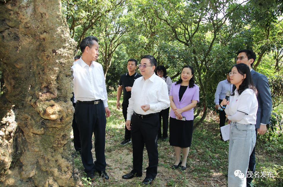 新华社广东分社社长徐金鹏到我市调研,袁古洁参加