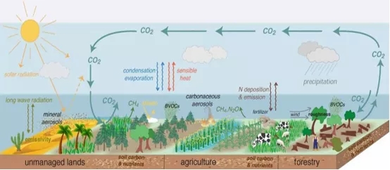 图1 陆地生态系统碳循环过程