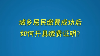 城乡居民缴费成功后如何开具缴费证明？