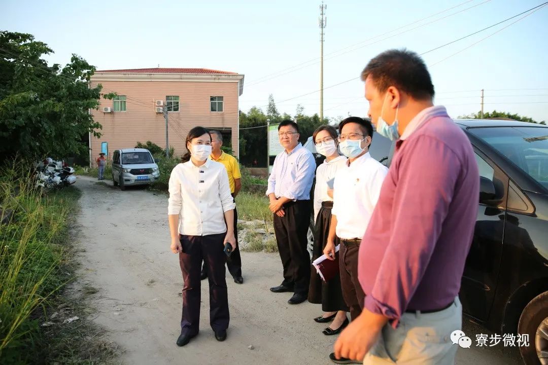 寮步镇委书记赵智佳带队调研陈家埔村发展和西南河治理工作