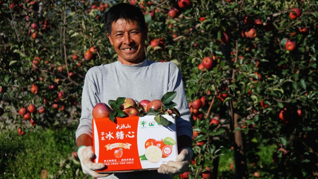 长相虽丑内心很甜盐源丑苹果的逆袭之路