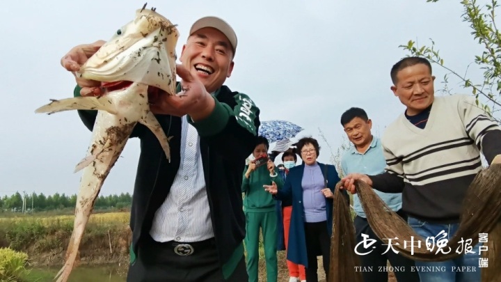 这是全媒体记者在10月26日在河南省信阳市淮滨县目击到的稻农在稻田里