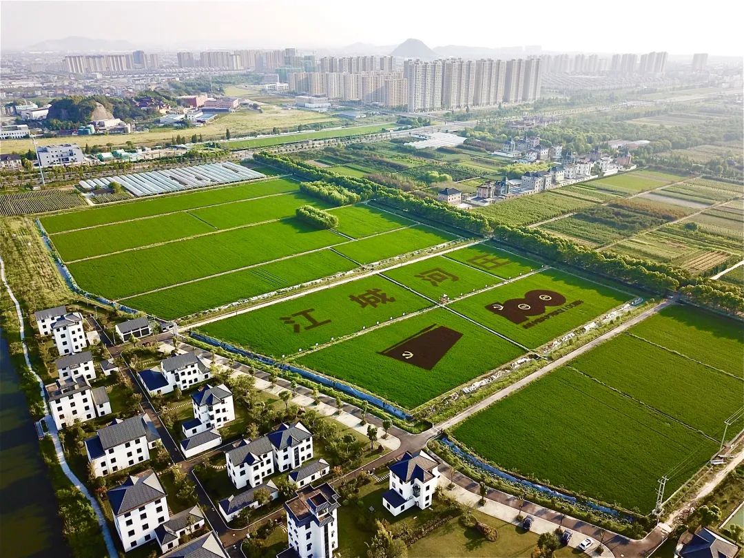 比赛结果公布大美钱塘围垦风光摄影大赛作品大公开快戳