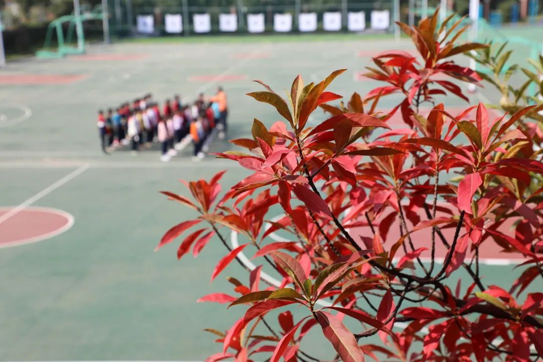 (向阳中学)一寸光阴一寸金,读书不觉秋已深.