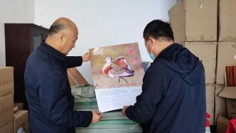 绿会中华大鸨保护地•天津护鸟准备工作已就绪