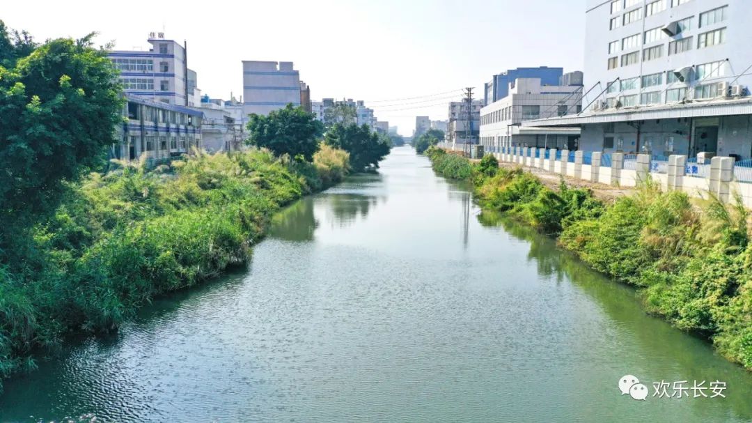 长安召开五条河涌雨污分流综合整治工作推进会