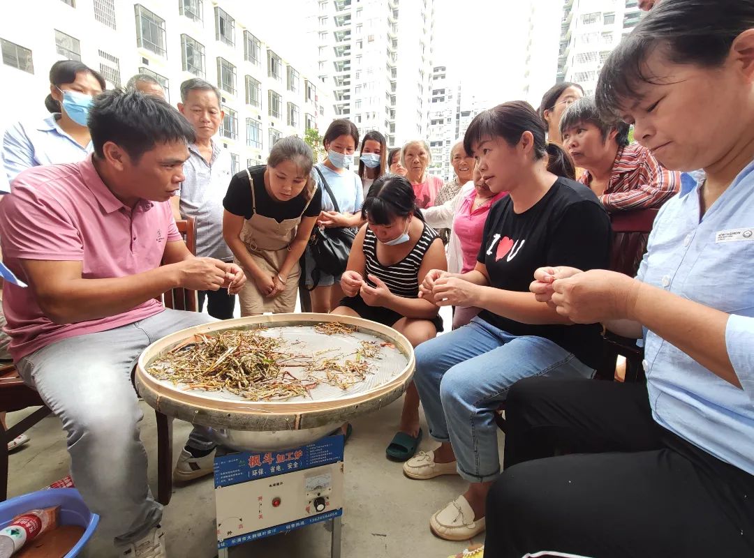 我為群眾辦實事⑦來賓致富有產業移民添信心