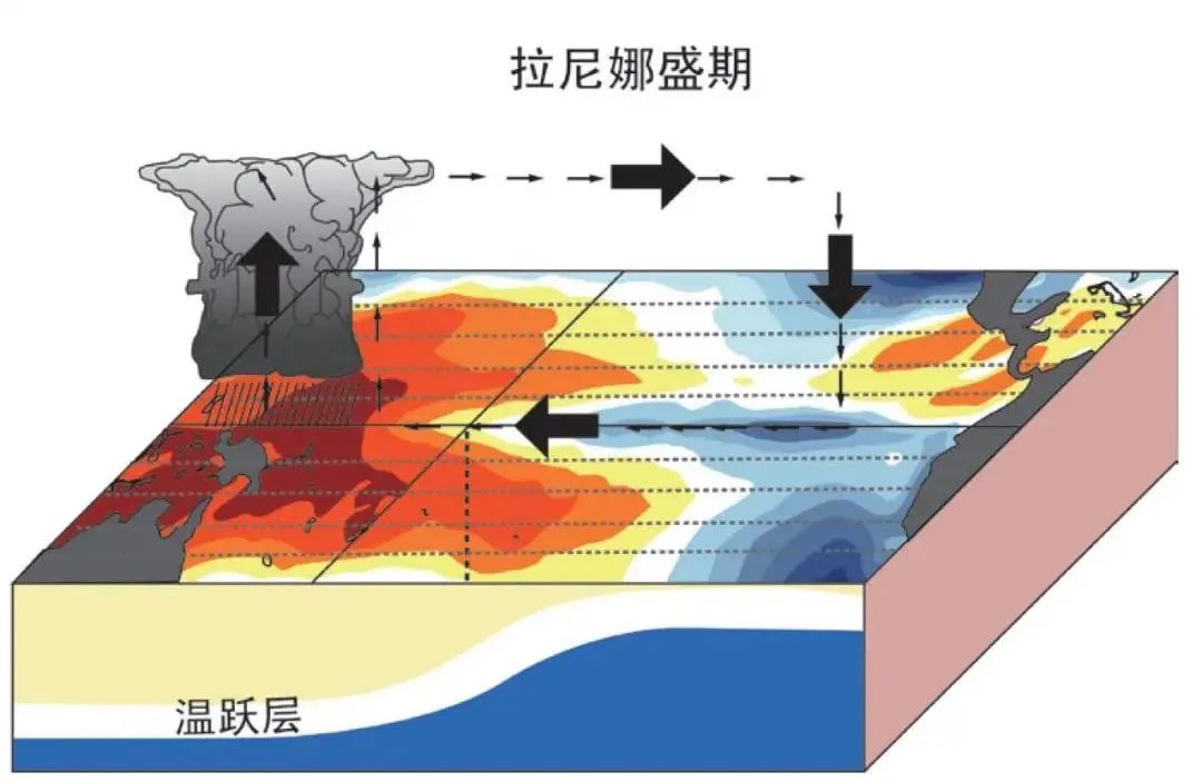 拉尼娜来了今年冬天注意防寒保暖