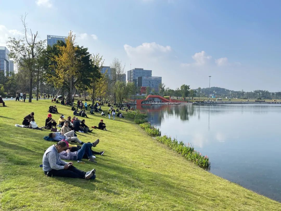 兴隆湖能带宠物吗能骑车吗怎么停车
