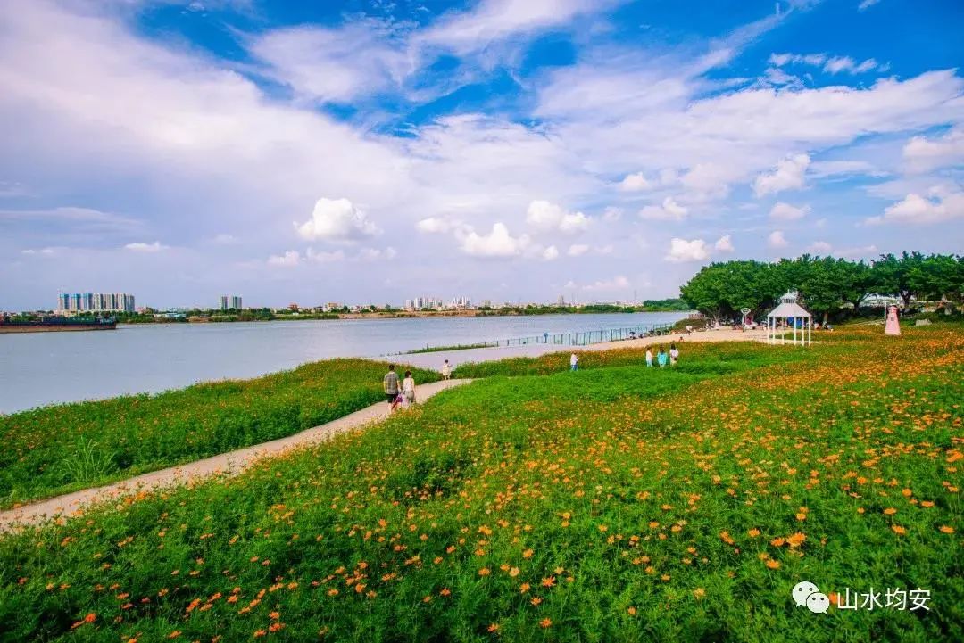 溼地公園,愛情沙灘,浪漫花海,堤圍綠道……順德均安南沙東